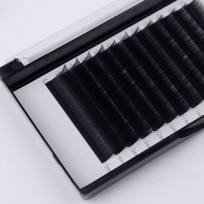 Lash Extension Trays